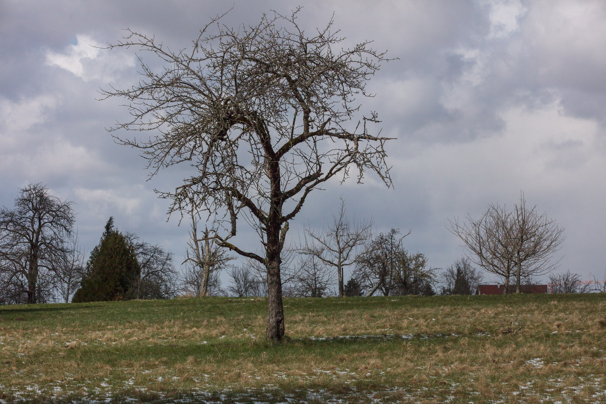 20220409143504 DP013959